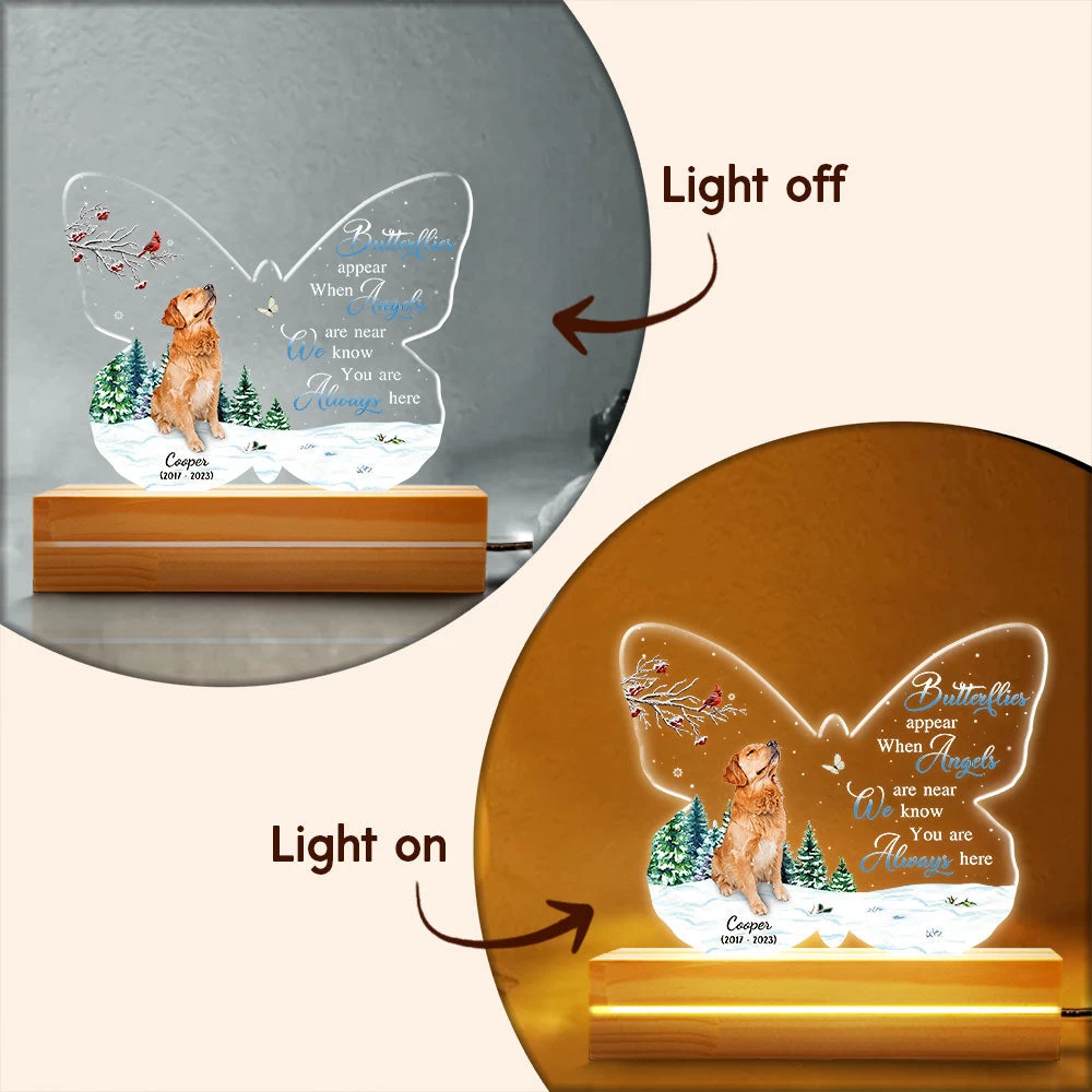 Custom Photo Of Pet For Remembrance Personalized Led Light 6 Custom Photo Of Pet For Remembrance Personalized Led Light - Image 4