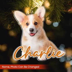 Personalized Dog Cat Photo Ornament - Customized Pet Photo Shaped Acrylic Ornaments, Acrylic Dog Cat Ornaments For Christmas Tree, Gift For Pet Lovers -Gift Series Store FMSJSYTATT260824001 MK02