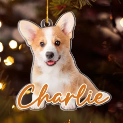 Personalized Dog Cat Photo Ornament - Customized Pet Photo Shaped Acrylic Ornaments, Acrylic Dog Cat Ornaments For Christmas Tree, Gift For Pet Lovers -Gift Series Store FMSJSYTATT260824001 MK04