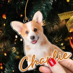 Personalized Dog Cat Photo Ornament - Customized Pet Photo Shaped Acrylic Ornaments, Acrylic Dog Cat Ornaments For Christmas Tree, Gift For Pet Lovers -Gift Series Store FMSJSYTATT260824001 MK05