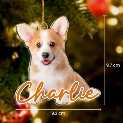 Personalized Dog Cat Photo Ornament - Customized Pet Photo Shaped Acrylic Ornaments, Acrylic Dog Cat Ornaments For Christmas Tree, Gift For Pet Lovers -Gift Series Store FMSJSYTATT260824001 MK07