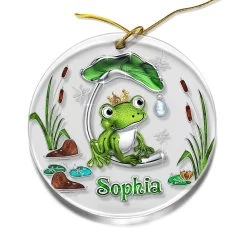 Personalized Acrylic Frog Ornament Jewelry Style