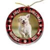Personalized Acrylic Ornament Dog Ornament First Christmas 1 Personalized Acrylic Ornament Dog Ornament First Christmas -Gift Series Store Personalized Acrylic Ornament Dog Ornament First Christmas
