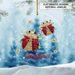 Personalized Acrylic Ladybugs Ornament Jewelry Drawing -Gift Series Store personalized acrylic ladybugs ornament jewelry drawing pt02