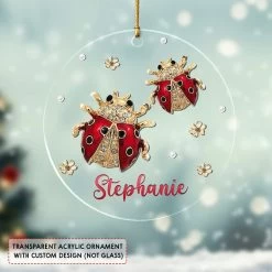 Personalized Acrylic Ladybugs Ornament Jewelry Drawing -Gift Series Store personalized acrylic ladybugs ornament jewelry drawing pt04