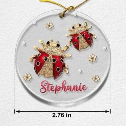 Personalized Acrylic Ladybugs Ornament Jewelry Drawing -Gift Series Store personalized acrylic ladybugs ornament jewelry drawing pt05